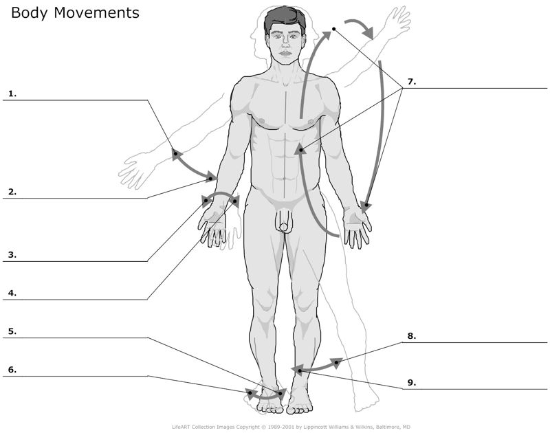 Body_Movements