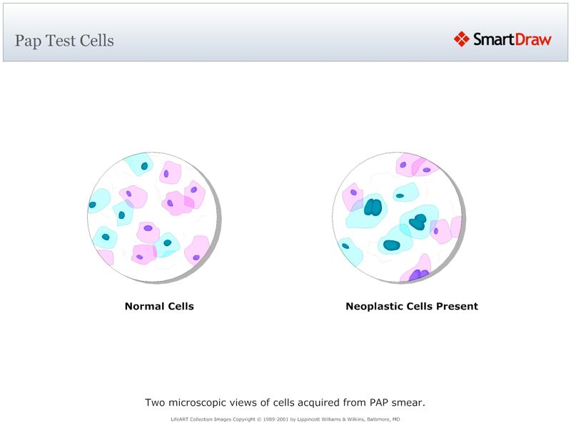 Pap_Test_Cells