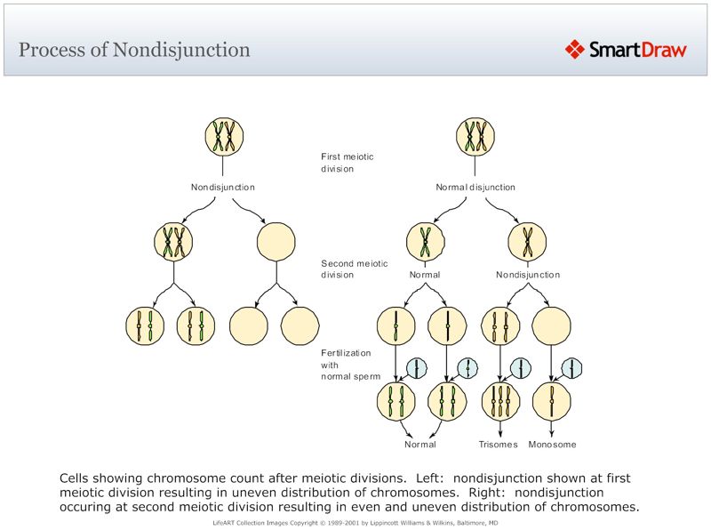 Process_of_Nondisjunction
