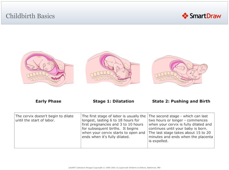 Childbirth_Basics
