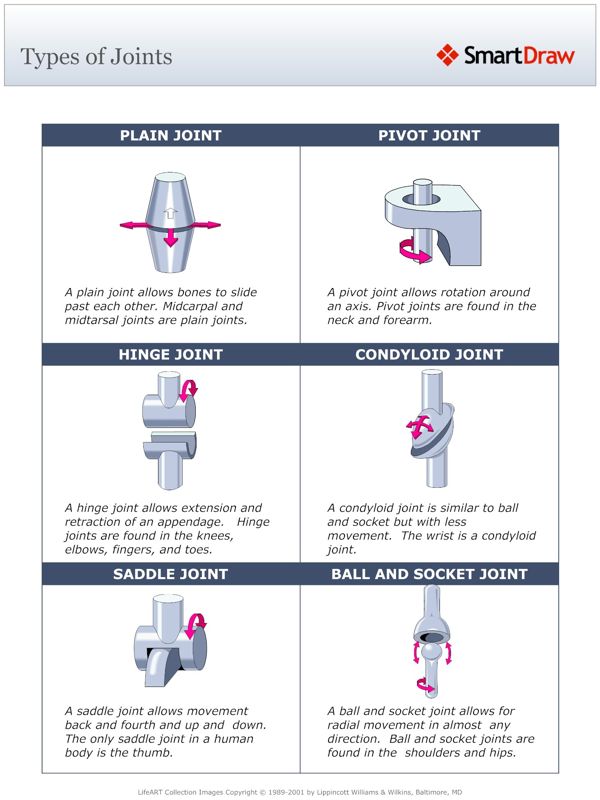 Types_of_Joints