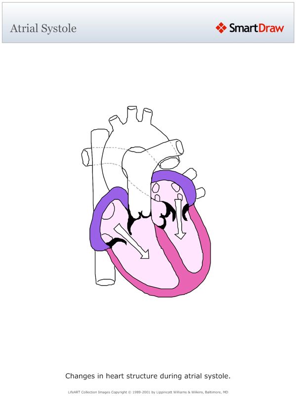 Atrial_Systole