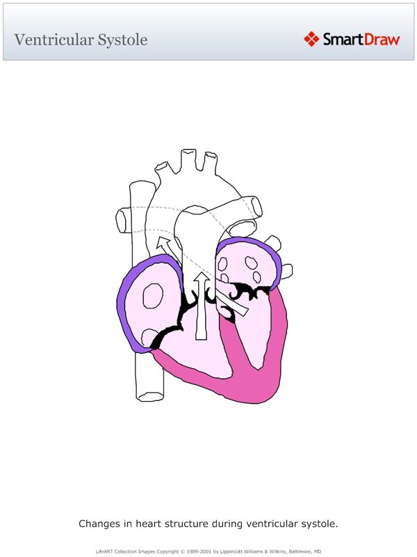 Ventricular_Systole
