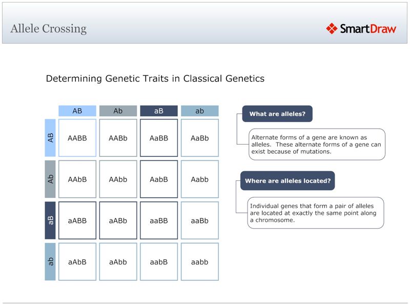 Allele_Crossing