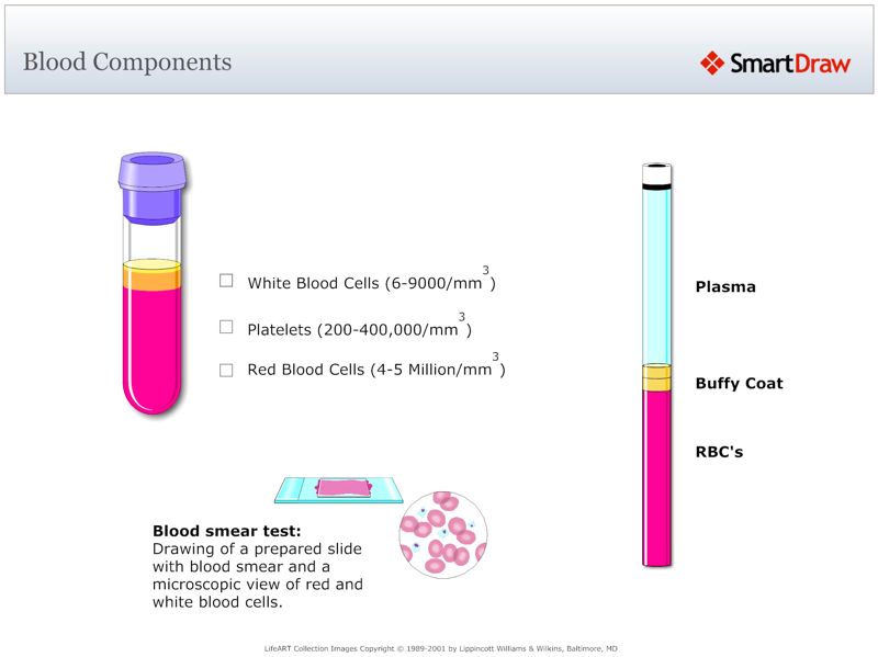 Blood_Components