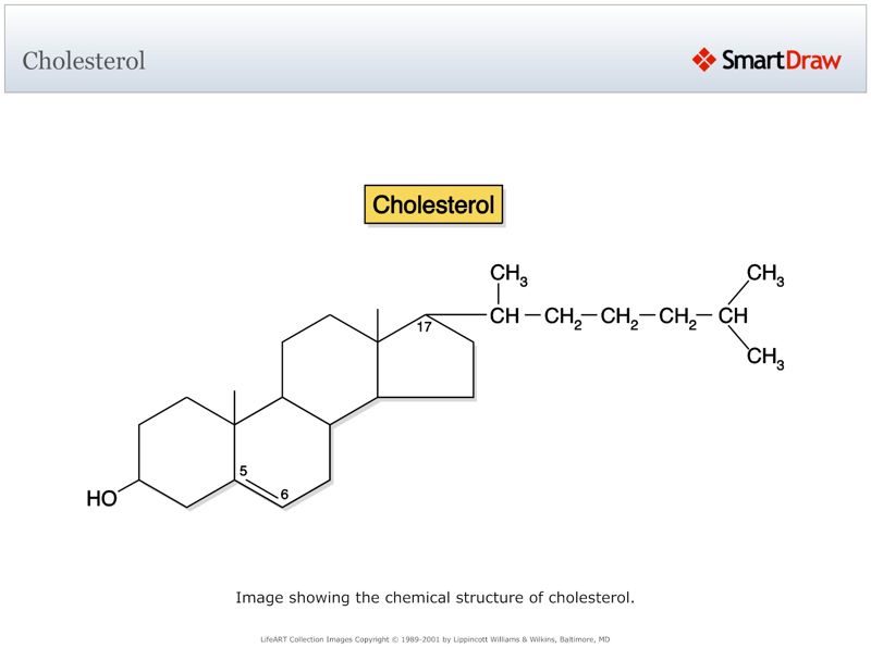 Cholesterol