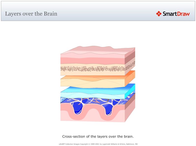 Layers_over_the_Brain