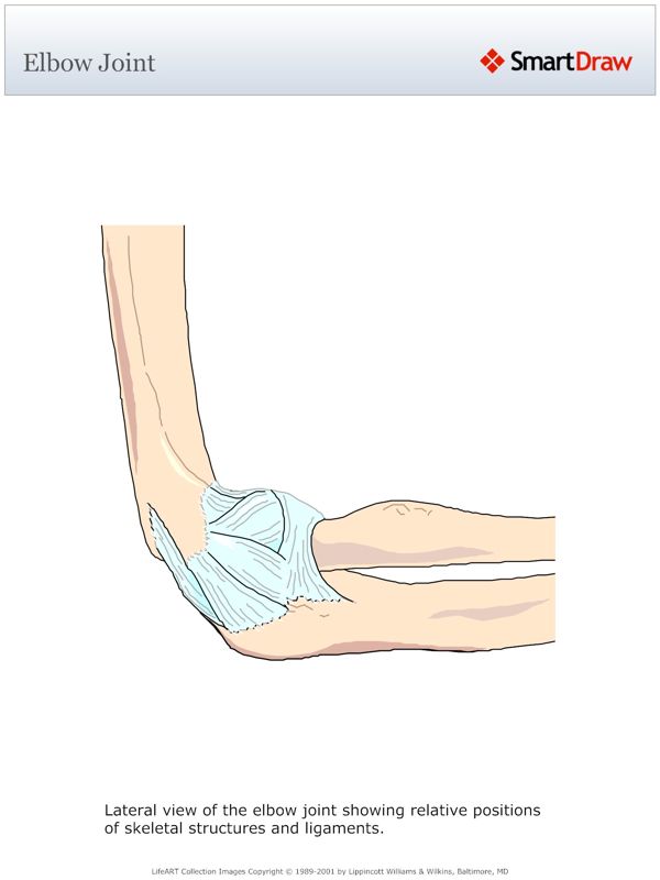Elbow_Joint