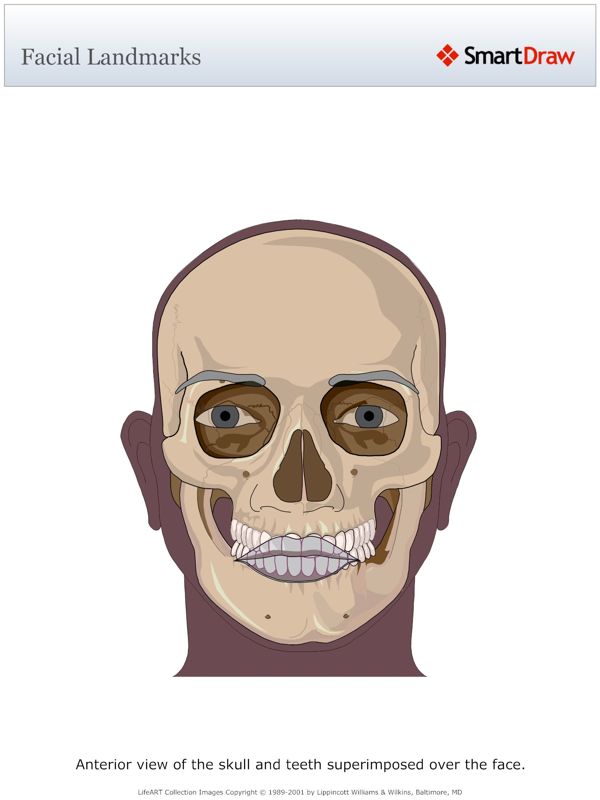 Facial_Landmarks