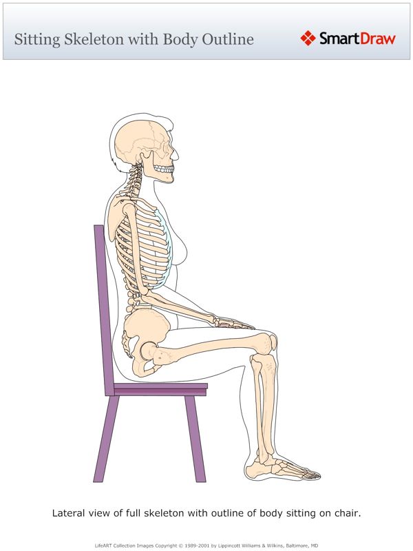Sitting_Skeleton_with_Body_Outline