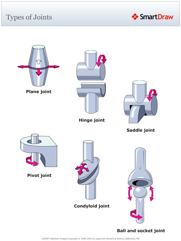 Types_of_Joints