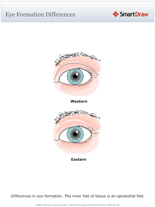 Eye_Formation_Differences