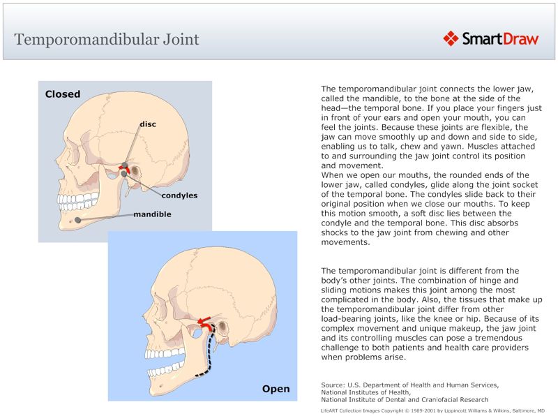 Temporomandibular_Joint
