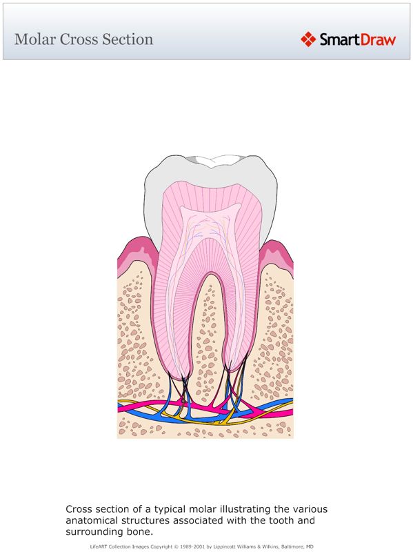 Molar_Cross_Section
