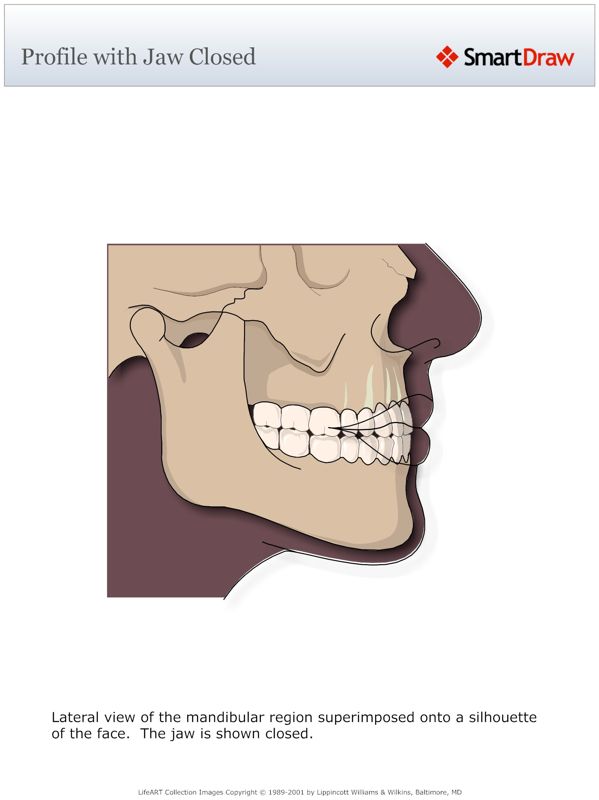Profile_with_Jaw_Closed