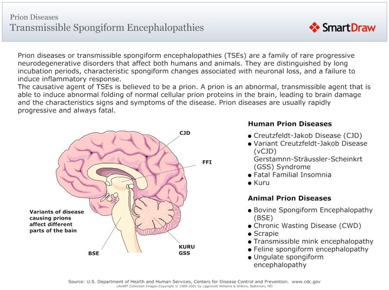 Transmissible_Spongiform_Encephalopathies