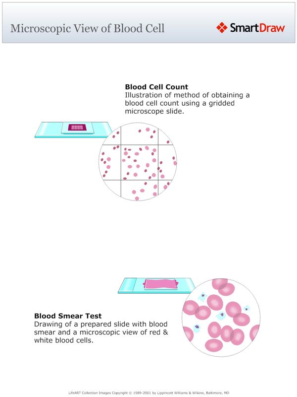 Microscopic_View_of_Blood_Cell