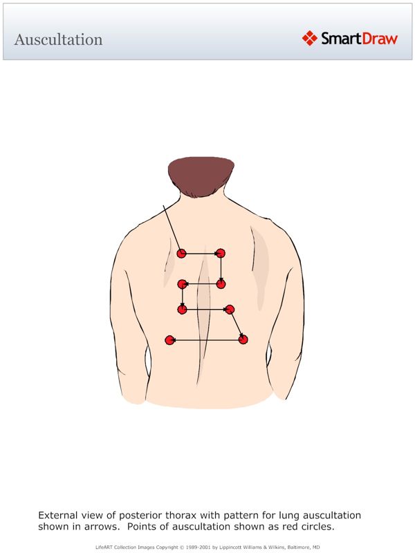 Auscultation