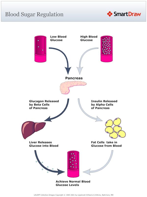 Blood_Sugar_Regulation