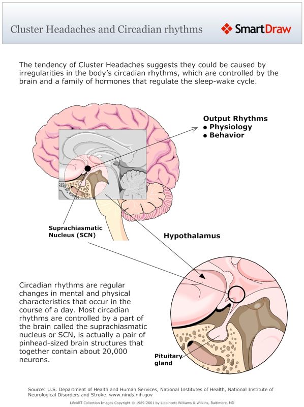 Cluster_Headaches_and_Circadian_rhythms