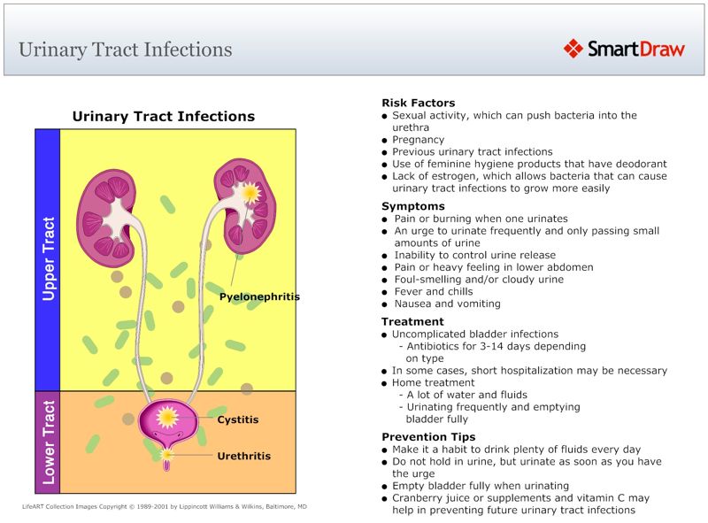Urinary_Tract_Infections2