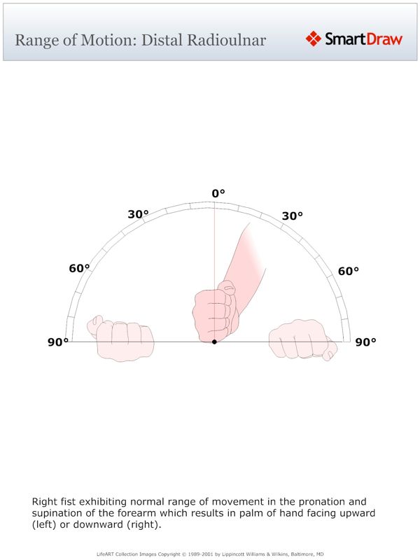Range_of_Motion_Distal_Radioulnar
