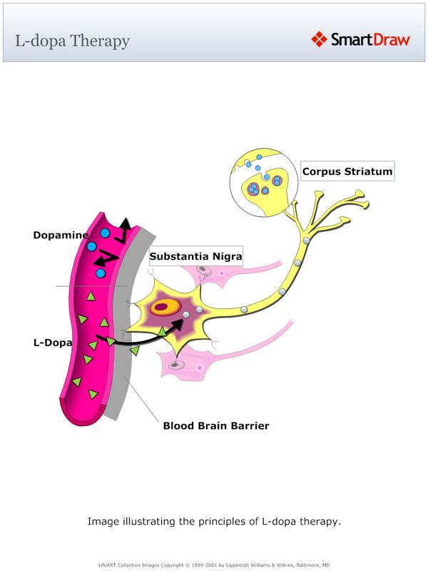 L-dopa_Therapy