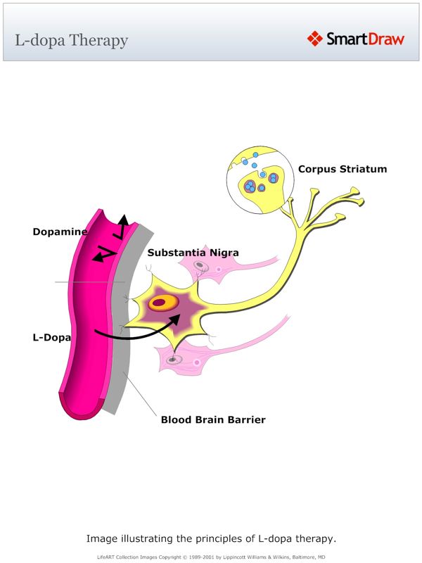 L-dopa_Therapy