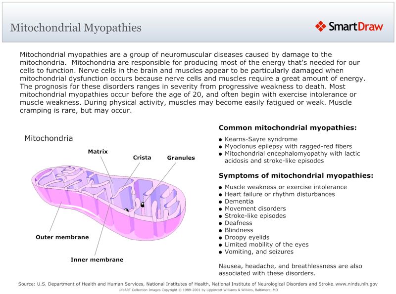 Mitochondrial_Myopathies
