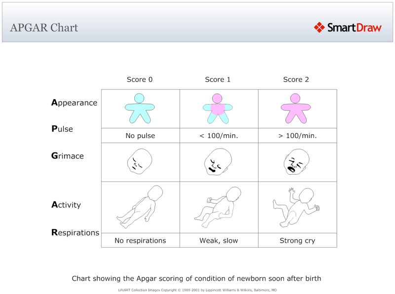 APGAR_Chart