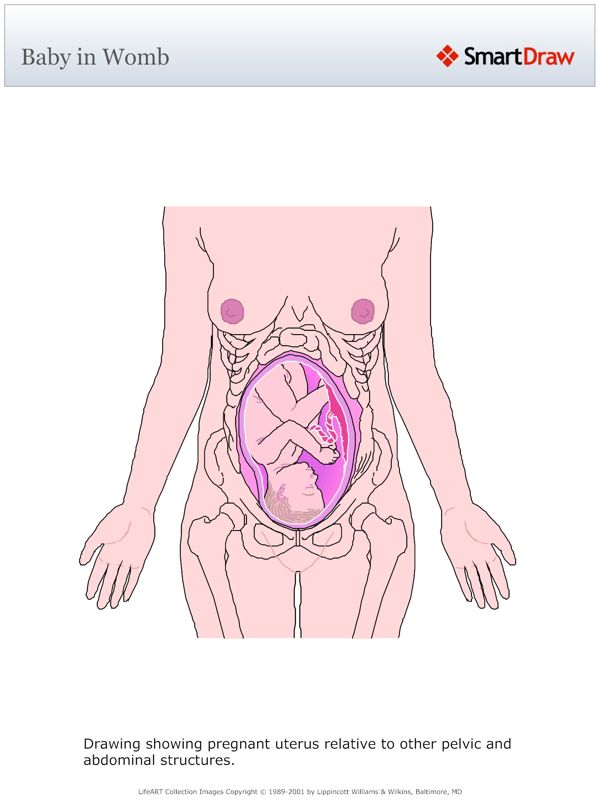 Baby_in_Womb
