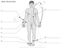 Body_Movements