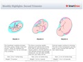 Monthly_Highlights_Second_Trimester