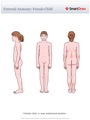 External_Anatomy_Female_Child
