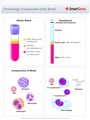 Hematology_Components_of_the_Blood