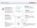 Hormone_Action
