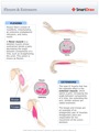 Flexors_&_Extensors