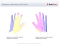 Cutaneous_Innervation_of_the_Hand