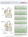 Electrical_Conduction_System_of_the_Heart