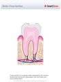 Molar_Cross_Section