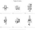 Types_of_Joints