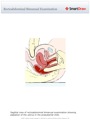 Rectoabdominal_Bimanual_Examination