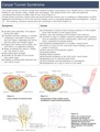 Carpal_Tunnel_Syndrome