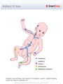 Pediatric_IV_Sites