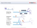 Types_of_Nerve_Injury